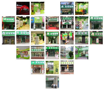 圣宠宠物品牌连锁店突破60家