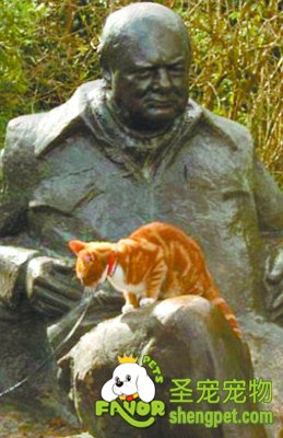 丘吉尔的萌宠“乔克四世”