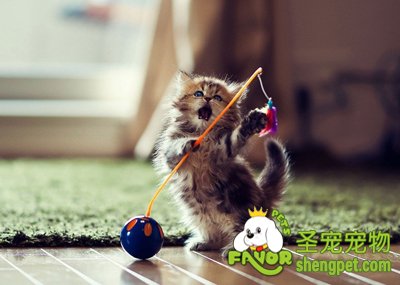 Сèһֱ�е�ԭ�򼰽���취