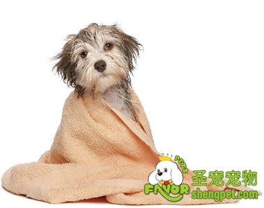 ���ڸ�����ϴ������ЩҪ��