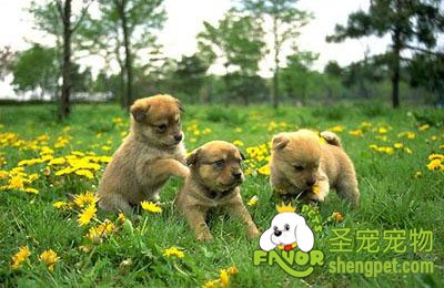 ����ë����ǳ����ô��