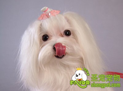 ����ʳ��ķ��༰���淽��