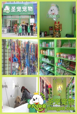 圣宠宠物2014第二届明星店铺参选-北京昌平金隅店