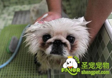 ����ϴ����ĵ�ע������