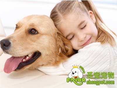 人的感冒会传染给狗吗