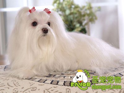 �ù���Ȯë�����ķ����ͼ���