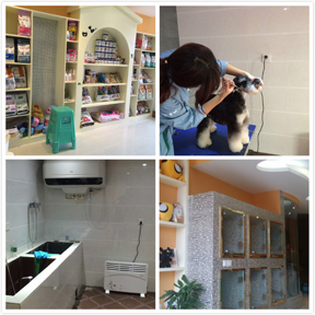 贵阳中天会展城宠物店内景