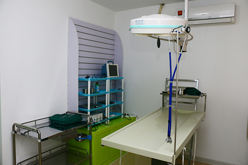 圣宠无锡滨湖区医疗店