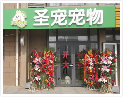 圣宠宠物北京大兴旧宫新苑宠物店