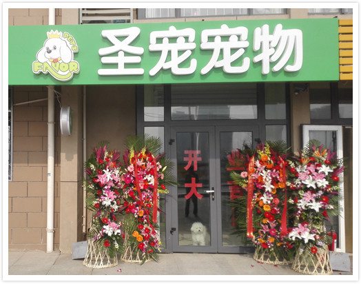 北京大兴旧宫新苑宠物店