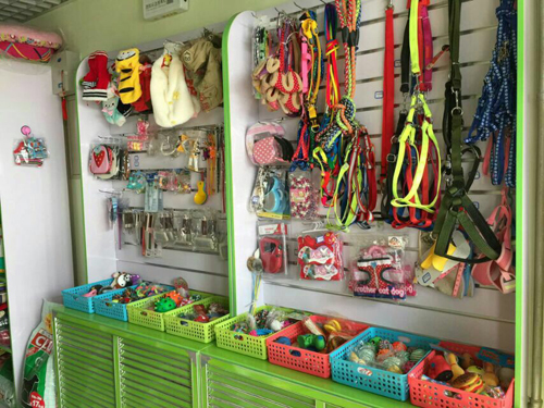 圣宠北京大兴旧宫新苑宠物店招聘宠物美容师1