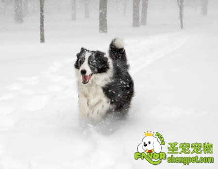 Ϊʲô�����ڶ��컹���ë