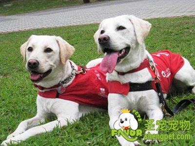 ��������Ȯ