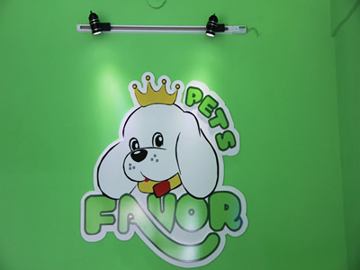 ���������������Լ�������ע������ 