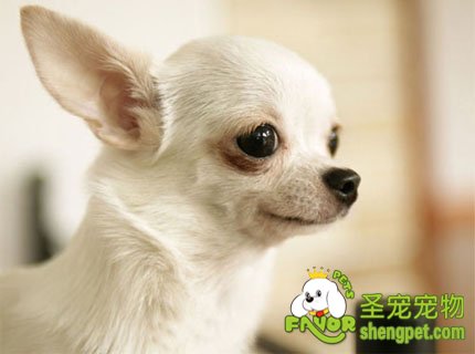 �����۾����۹��������