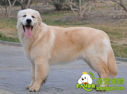 �������ܺͽ�ëȮ������