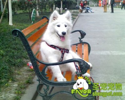 ����������ر������ֵ�Ʒ