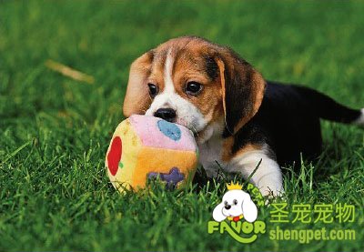 �������ڼ�����Ҫ׼�����������Щ