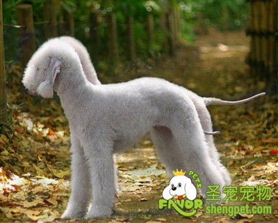 ����ٹ������ݷ�ʽ����Щ