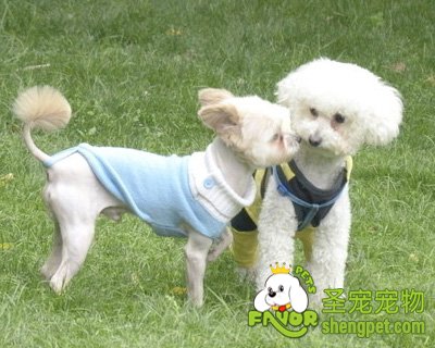 ����Ƥ��������ԭ������Щ