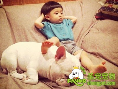 �˽⹷���������������