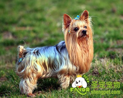 Լ��������Щ����ϰ��