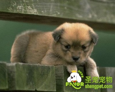 ������������ô��