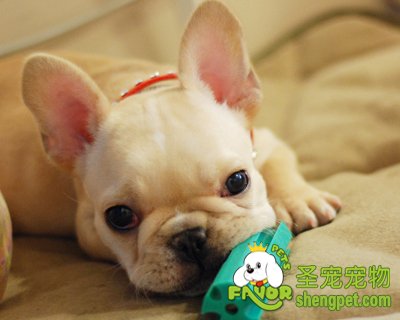 ������ҧ�����ôʹ��