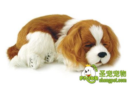 ����ü��еĹ����ɾ�����