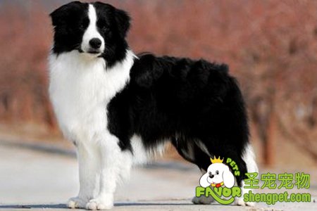 ����ü��еĹ����ɾ�����