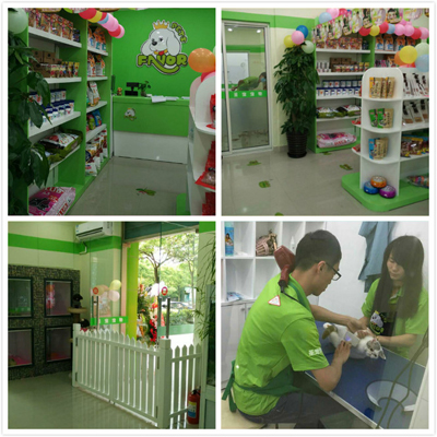 圣宠宠物上海东绣路宠物店