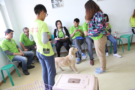 圣宠宠物技术培训:训犬课实操