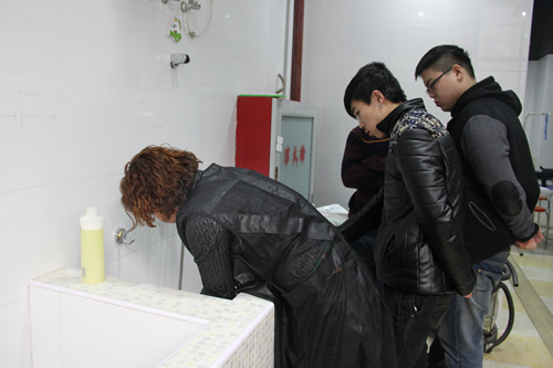 店铺技术班宠物美容讲解课-宠物洗澡