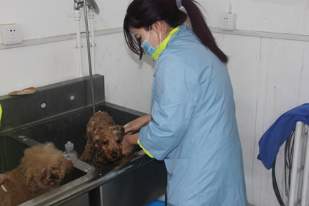 �����ﹷ��ϴ���ϸ�ں����� 