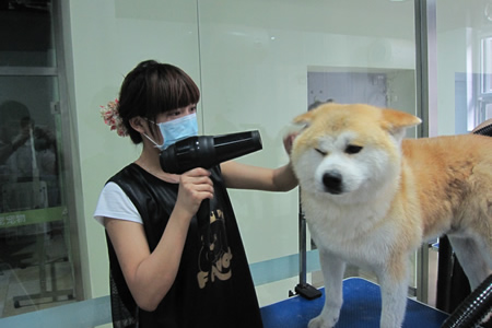 �����ﹷ��ϴ���ϸ�ں����� 