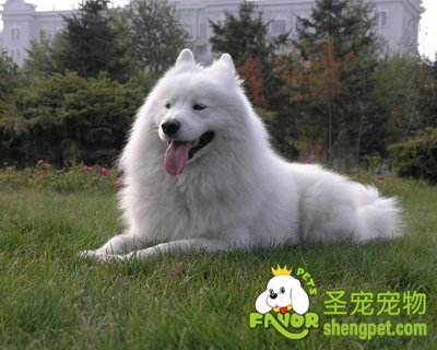 ѵ���������Է�Ϊ��������