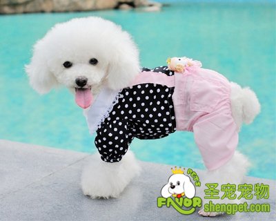 �������·���Ҫ����ʲô