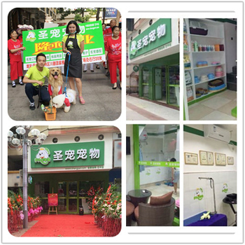 宠物店开业宣传