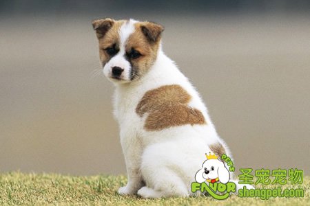 ��Ҫ�����ҽй���������