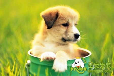 ��Ҫ�����ҽй���������