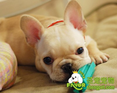 ������������߸���ôѡ��