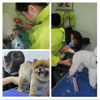 大庆求实西路店