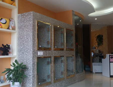 圣宠贵阳中天会展城宠物店