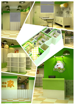 忻州宠物店开店回顾