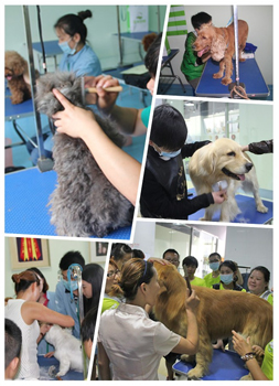 设计团队接到规划及数据后，进行多次探讨规划各个区域位置； 合理利用每一寸，将店铺面积利用到最佳，并制定出最后的设计图。