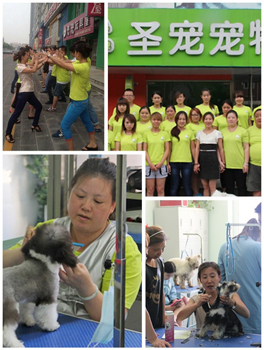 圣宠宠物香河安平店