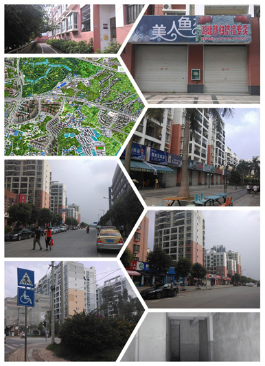 圣宠南宁宠物店