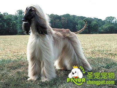 �жϰ�������Ȯ�Ƿ��ֵķ���