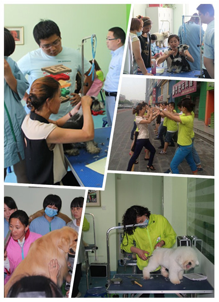 设计团队接到规划及数据后，进行多次探讨规划各个区域位置； 合理利用每一寸，将店铺面积利用到最佳，并制定出最后的设计图。