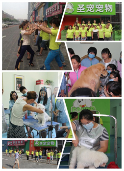 设计团队接到规划及数据后，进行多次探讨规划各个区域位置； 合理利用每一寸，将店铺面积利用到最佳，并制定出最后的设计图。